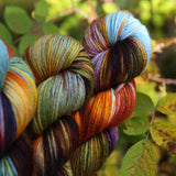 Bad Sheep Yarn - DK (Autumn Brew)