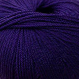 Cascade Yarns - 220 Superwash (257 Violet Indigo)