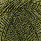 Cascade Yarns - 220 Superwash (312 Avocado)