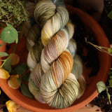 Bad Sheep Yarn - DK (Botanist)