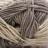 Cascade Yarns - Sarasota (109 Pecan)