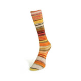 Laines du Nord - Eclectic Sock (#05)