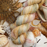 Bad Sheep Yarn - Fingering (Calico Scallop)