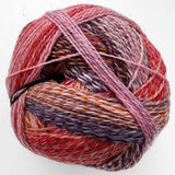 Schoppel - Zauberball Crazy (2546 Warm Botanical Garden)