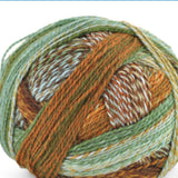 Schoppel - Zauberball Crazy (1660 Riverbed)