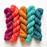 Manos Del Uruguay - Fino Mini-Skein Kit (Esme)