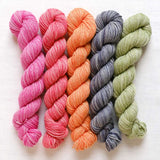 Manos Del Uruguay - Fino Mini-Skein Kit (Faye)