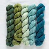 Manos Del Uruguay - Fino Mini-Skein Kit (Flora)