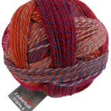 Schoppel Wolle - Zauberball Starke 6 (2231 Nonferrous Metal)