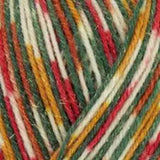 Berroco - West Yorkshire Spinners (1206 Yuletlde)