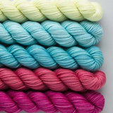 SweetGeorgia - Party of Five - Tough Love Sock Mini-Skein Set (Candy Shop)
