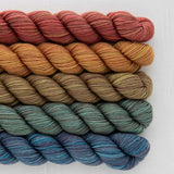 SweetGeorgia - Party of Five - Tough Love Sock Mini-Skein Set (Blazing Trails)