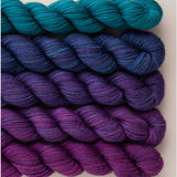 SweetGeorgia - Party of Five - Tough Love Sock Mini-Skein Set (Tanzanite)
