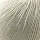 Cascade Yarns - 220 Superwash (817 Ecru)