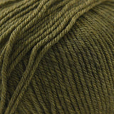 Cascade Yarns - 220 Superwash (1919 Turtle)