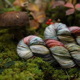 Bad Sheep Yarn - DK (Mushroom)