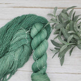 Wild Sage Wool - Basil Fingering (Dewdrops)