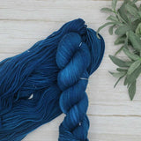 Wild Sage Wool - Thyme DK Shimmer (Frosted Twilight)