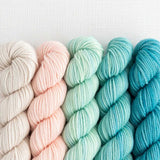 SweetGeorgia - Party of Five - Tough Love Sock Mini-Skein Set (Seashore)