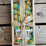 Koigu - Sock Box (P033)