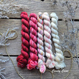 Koigu - Paint Can (Candy Cane)