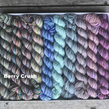 Koigu - Pencil Pack (Berry Crush)