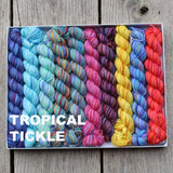 Koigu - Pencil Pack (Tropical Tickle)