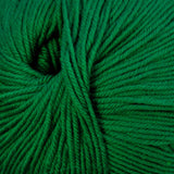 Cascade Yarns - 220 Superwash (864 Christmas Green)