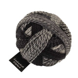 Schoppel Wolle - Zauberball Starke 6 DK (2100 Domino)