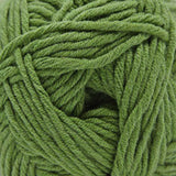 Cascade Yarns - Sarasota Worsted (202 Jade Green)