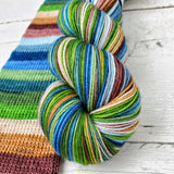 Must Stash Yarn - Perfect Sock (Acadia -A Nat'l Park Series Colorway)