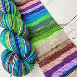 Must Stash Yarn - Perfect Sock (Denali -A Nat'l Park Series Colorway)