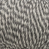 Cascade Yarns - 220 Superwash (401 Charcoal Marl)