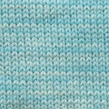 SweetGeorgia - Tough Love Sock Micro-Skein (West Wind)