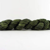 29 Bridges Studio - Corrie Worsted (Fern)
