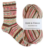 Arne & Carlos - Socks & More 4 Ply (Linen Curtains)
