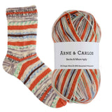 Arne & Carlos - Socks & More 4 Ply (Last Brushstroke)