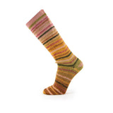 Concept by Katia - Symmetric Socks & More Paradise (40)