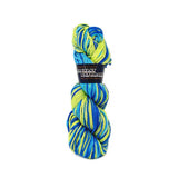 Plymouth Yarn - Fantasy Naturale (9936)