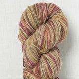 Juniper Moon Farm - Patagonia Organic Merino Hand Paints (#1015 Sahara)