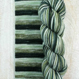Biscotte Yarns - Bis Sock Self Striping (Chambre Des Secrets)