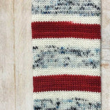 Biscotte Yarns - Bis Sock Self Striping (Mon Pays C'est L'Hiver)