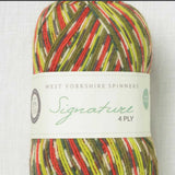 Berroco - West Yorkshire Spinners (1170 Green Woodpeck)