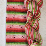 Biscotte Yarns - Bis Sock Self Striping (Melon D'Eau)