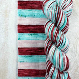 Biscotte Yarns - Bis Sock Self Striping (MÉGANE)