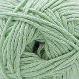 Cascade Yarns - Sarasota Worsted (240 Celadon)