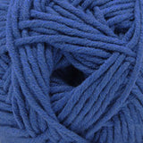 Cascade Yarns - Sarasota Worsted (231 Blue)