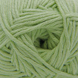 Cascade Yarns - Sarasota Worsted (201 Baby Lime)