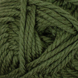 Cascade Yarns - Pacific Chunky (156 Cedar Green)