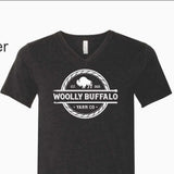WBYC V-Neck T-Shirt (Black Ink Heather)